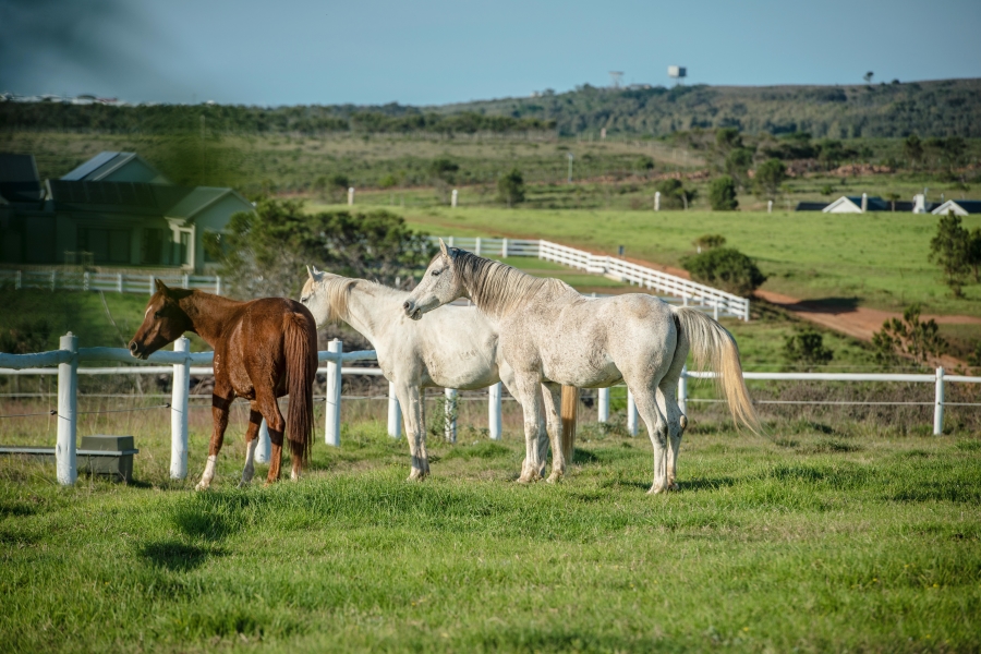 0 Bedroom Property for Sale in Aston Bay Eastern Cape